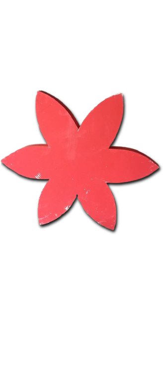 STAR  SHAPED WOOD DESIGN 