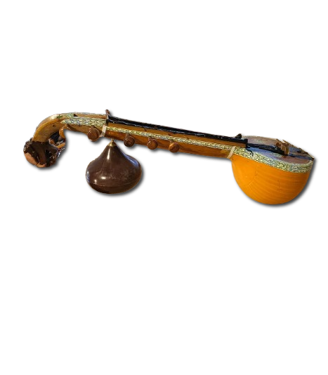 VEENA INSTRUMENT