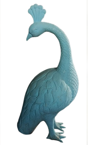 PEACOCK