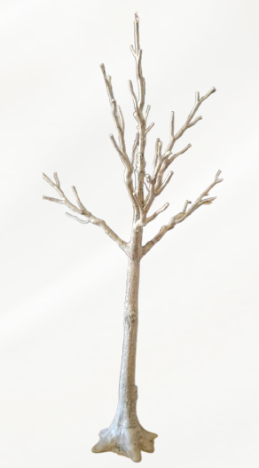 MANZANITA BENDY TREE