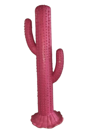 CACTUS (CARNIVAL)