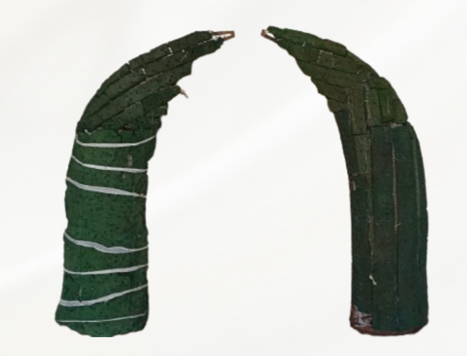 ELEPHANT TEETH